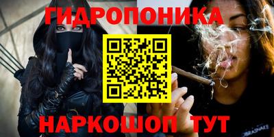 шишки Тула