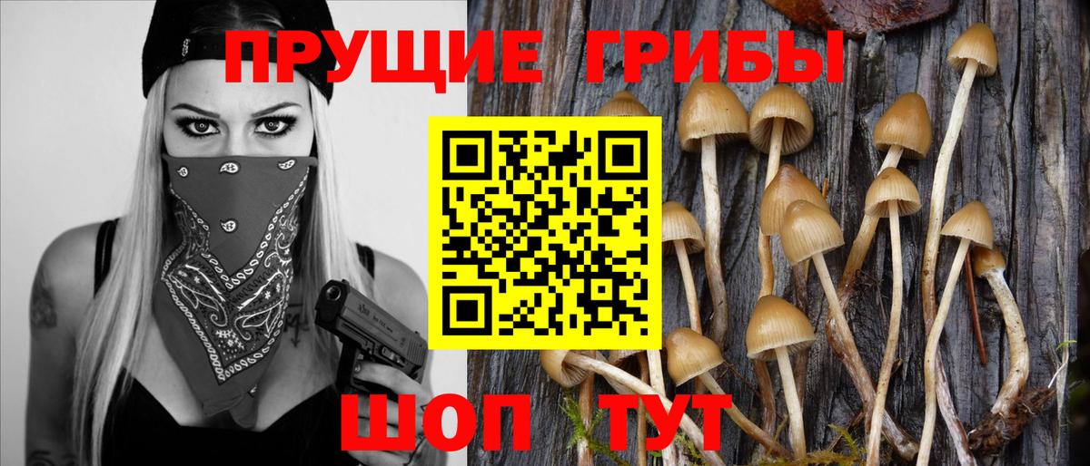 Псилоцибиновые грибы Psilocybe  Вход с VPN  Рыбинск 